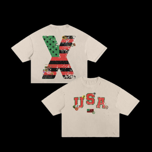 1.33 Vintage USA Distressed Crop Tee - Off White